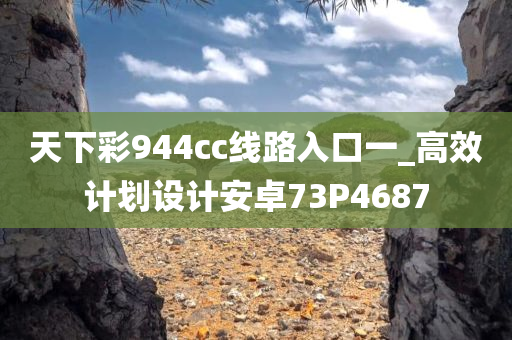 天下彩944cc线路入口一_高效计划设计安卓73P4687