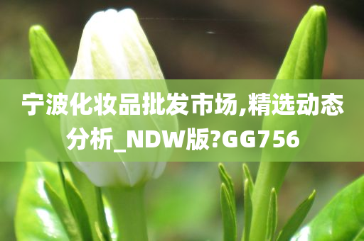 宁波化妆品批发市场,精选动态分析_NDW版?GG756
