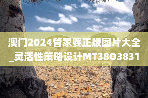 澳门2024管家婆正版图片大全_灵活性策略设计MT38O3831