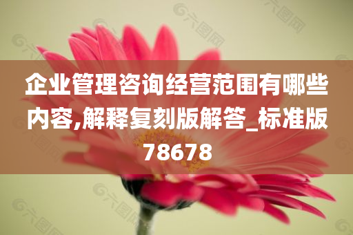 企业管理咨询经营范围有哪些内容,解释复刻版解答_标准版78678