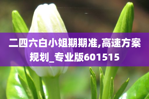 二四六白小姐期期准,高速方案规划_专业版601515