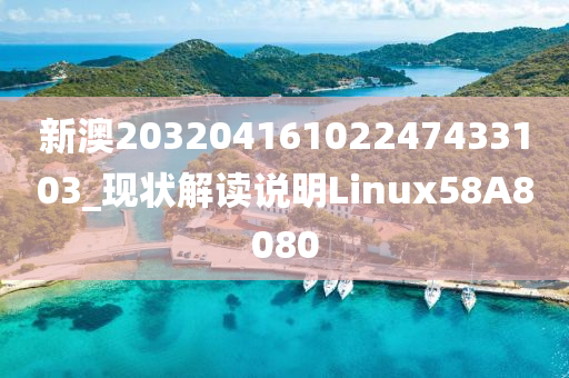 新澳20320416102247433103_现状解读说明Linux58A8080