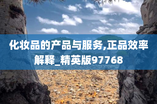 化妆品的产品与服务,正品效率解释_精英版97768