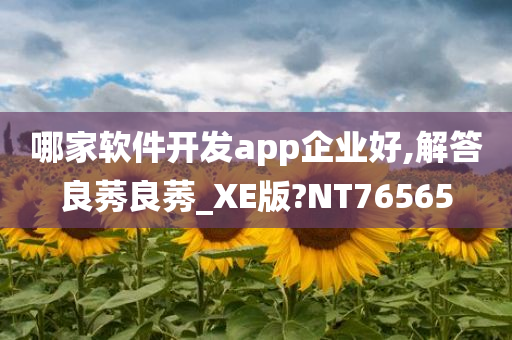哪家软件开发app企业好,解答良莠良莠_XE版?NT76565今晚必出三肖2025_2025新澳门精准免费提供·精确判断