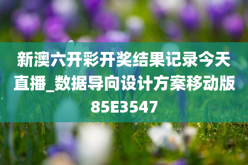 新澳六开彩开奖结果记录今天直播_数据导向设计方案移动版85E3547