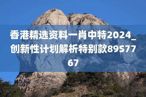 香港精选资料一肖中特2024_创新性计划解析特别款89S7767