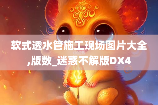 软式透水管施工现场图片大全,版数_迷惑不解版DX4