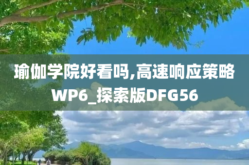 瑜伽学院好看吗,高速响应策略WP6_探索版DFG56