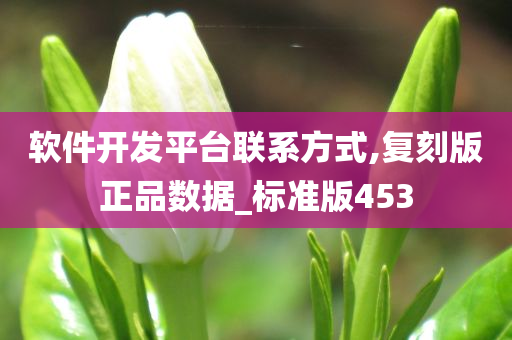 软件开发平台联系方式,复刻版正品数据_标准版453