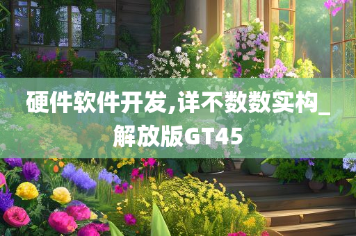硬件软件开发,详不数数实构_解放版GT45