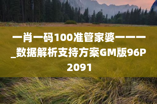 一肖一码100准管家婆一一一_数据解析支持方案GM版96P2091