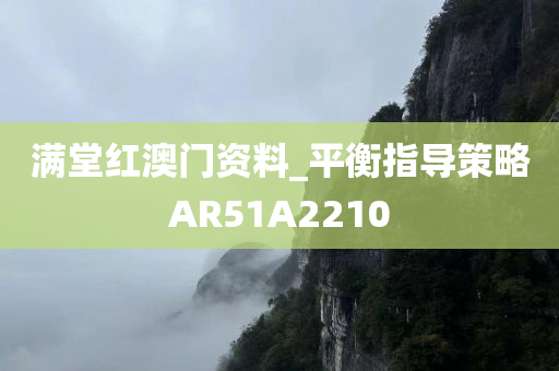 满堂红澳门资料_平衡指导策略AR51A2210
