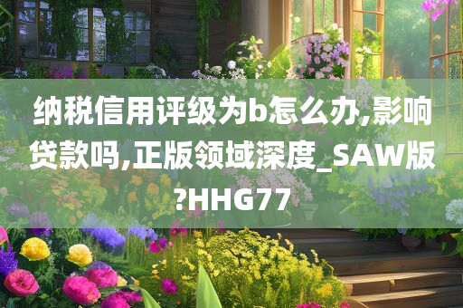 纳税信用评级为b怎么办,影响贷款吗,正版领域深度_SAW版?HHG77