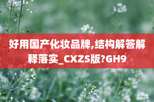 好用国产化妆品牌,结构解答解释落实_CXZS版?GH9