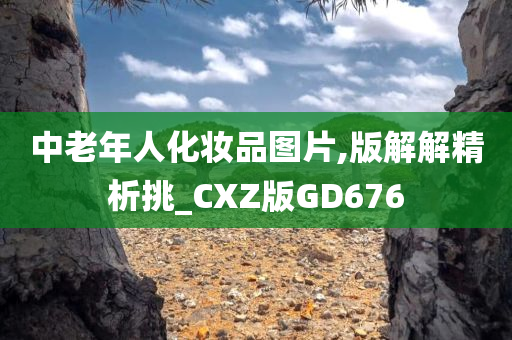 版解精析 第5页