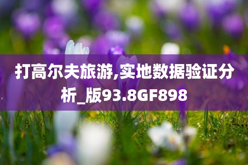 打高尔夫旅游,实地数据验证分析_版93.8GF898