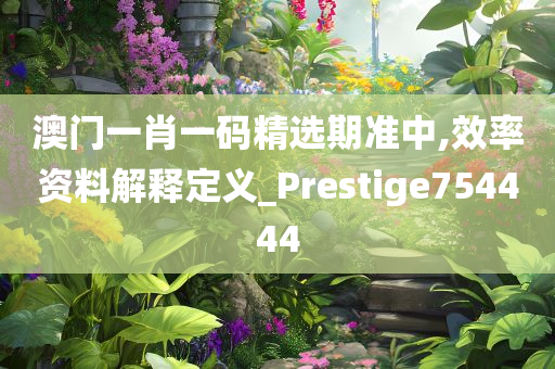 澳门一肖一码精选期准中,效率资料解释定义_Prestige754444