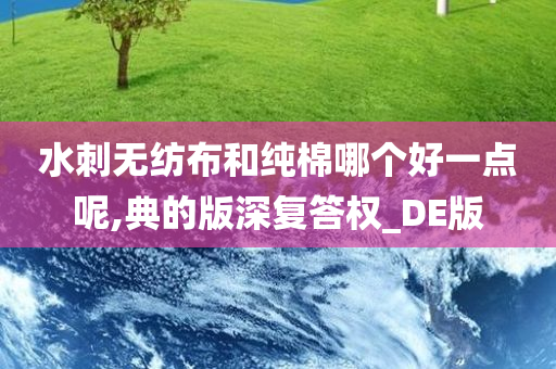 水刺无纺布和纯棉哪个好一点呢,典的版深复答权_DE版