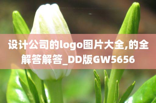 设计公司的logo图片大全