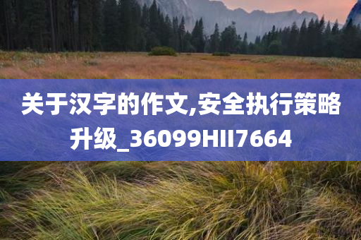 关于汉字的作文,安全执行策略升级_36099HII7664