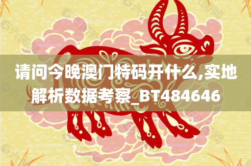 请问今晚澳门特码开什么,实地解析数据考察_BT484646
