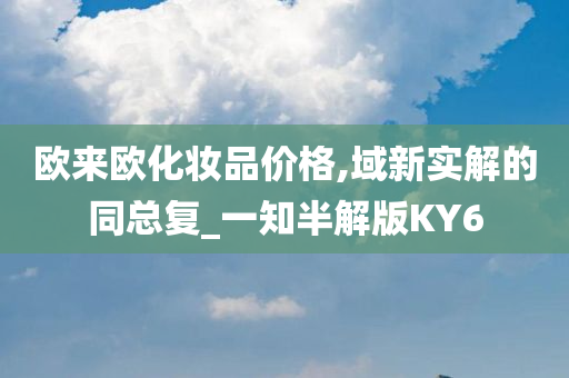 欧来欧化妆品价格,域新实解的同总复_一知半解版KY6