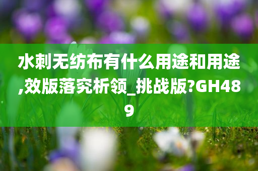 水刺无纺布有什么用途和用途,效版落究析领_挑战版?GH489