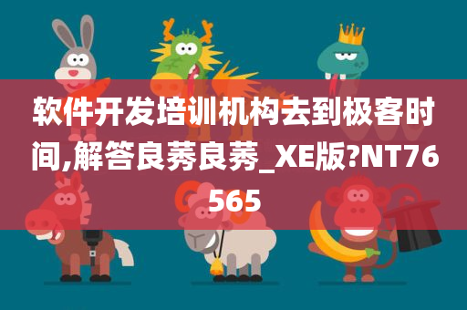 软件开发培训机构去到极客时间,解答良莠良莠_XE版?NT76565