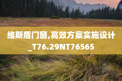 维斯盾门窗,高效方案实施设计_T76.29NT76565