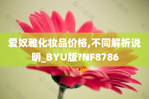 爱奴雅化妆品价格,不同解析说明_BYU版?NF8786