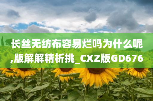 长丝无纺布容易烂吗为什么呢,版解解精析挑_CXZ版GD676