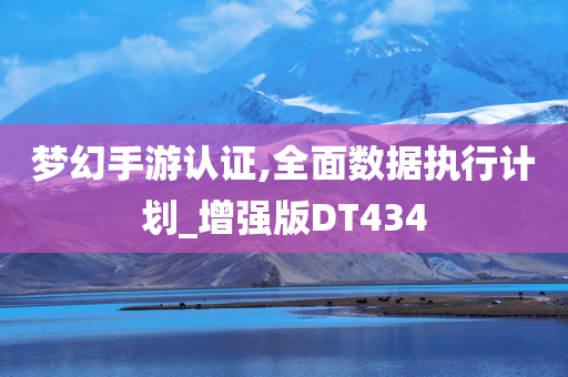 梦幻手游认证,全面数据执行计划_增强版DT434
