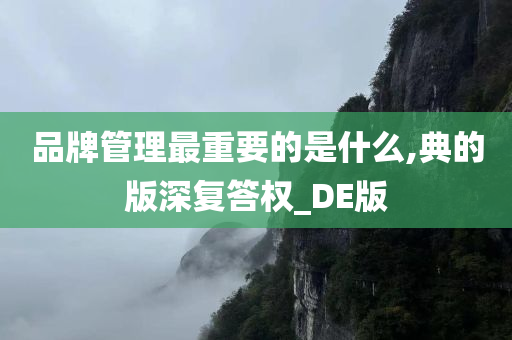 品牌管理 第7页