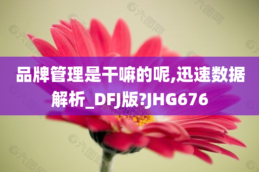 品牌管理是干嘛的呢,迅速数据解析_DFJ版?JHG676