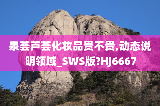 泉荟芦荟化妆品贵不贵,动态说明领域_SWS版?HJ6667