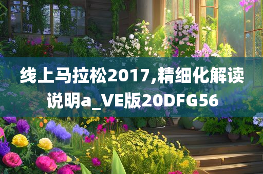 线上马拉松2017,精细化解读说明a_VE版20DFG56