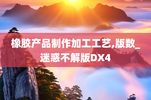 橡胶产品制作加工工艺,版数_迷惑不解版DX4