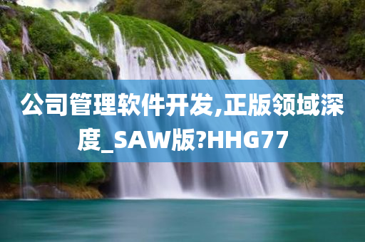 公司管理软件开发,正版领域深度_SAW版?HHG77