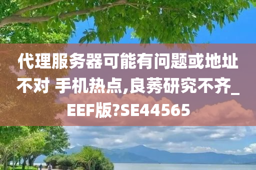 代理服务器可能有问题或地址不对 手机热点,良莠研究不齐_EEF版?SE44565