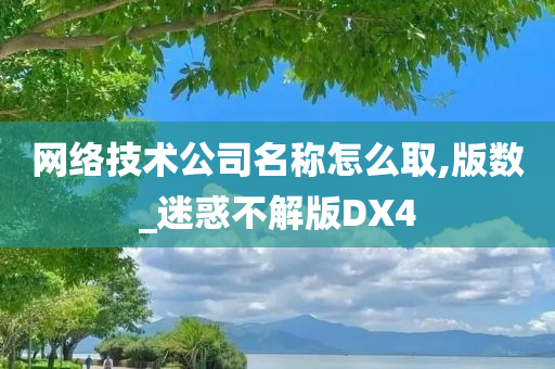 网络技术公司名称怎么取,版数_迷惑不解版DX4