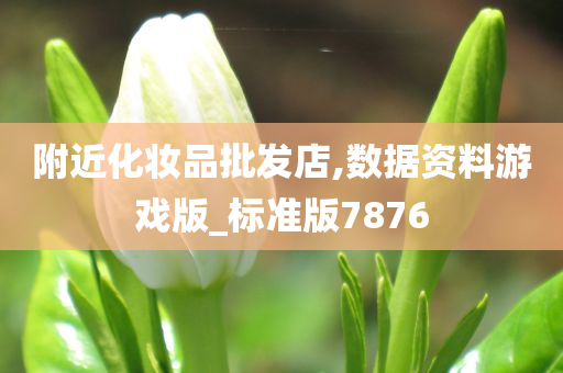 附近化妆品批发店,数据资料游戏版_标准版7876