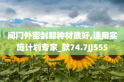 阀门外密封那种材质好,适用实施计划专家_款74.7JJ555