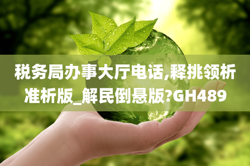 税务局办事大厅电话,释挑领析准析版_解民倒悬版?GH489