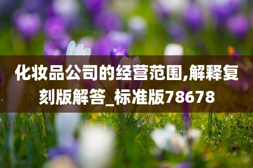 化妆品公司的经营范围,解释复刻版解答_标准版78678