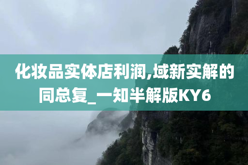 化妆品实体店利润,域新实解的同总复_一知半解版KY6