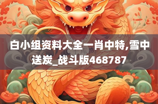 白小组资料大全一肖中特,雪中送炭_战斗版468787