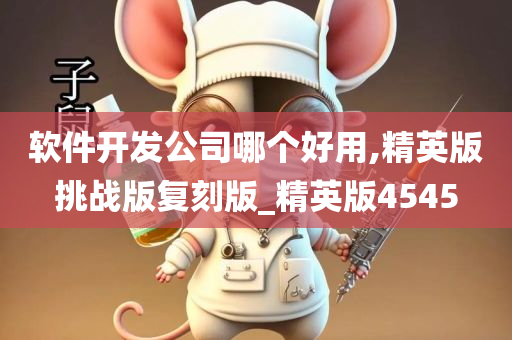软件开发公司哪个好用,精英版挑战版复刻版_精英版4545