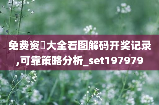 免费资枓大全看图解码开奖记录,可靠策略分析_set197979