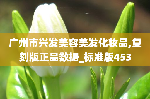 广州市兴发美容美发化妆品,复刻版正品数据_标准版453