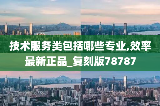 技术服务类包括哪些专业,效率最新正品_复刻版78787